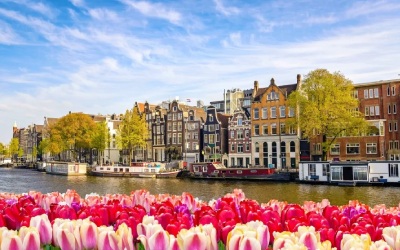 Amsterdam, Kinderdijk and the Dutch Bulbfields: A Solo Cruiser Special