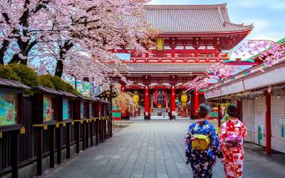 Sakura Season: Tokyo to South Korea