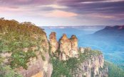 Australia-Wildlife-Rainforest-Reef-Explorer-1-_pk35734_1.jpg