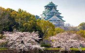 Chronicles of the Orient: A Luxury Journey Through Japan, Southeast Asia & Bali Chronicles-of-the-Orient-A-Luxury-Journey-Through-Japan-Southeast-Asia-Bali_pk35281_1.jpg