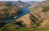 Douro Discovery Douro-Discovery_pk35212_1.jpg