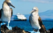 Ecuadorian Odyssey: Tropical Andes, Colonial Quito & Exploring Galapagos Ecuadorian-Odyssey-Tropical-Andes-Colonial-Quito-Exploring-Gal-pagos_pk35748_1.jpg