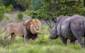 Garden-Route-Self-Drive-Safari_pk35767_1.jpg