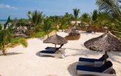 Private-Elephant-Safari-Zanzibar-Beach_pk35815_1.jpg