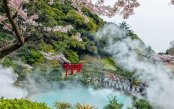 Spring in the Rising Sun: Cherry Blossoms & The Majesty of Mt. Fuji Spring-in-the-Rising-Sun-Cherry-Blossoms-The-Majesty-of-Mt-Fuji_pk35176_1.jpg