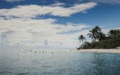 Ultra-Luxury Yacht Odyssey: Aldabra & The Coralline Seychelles Ultra-Luxury-Yacht-Odyssey-Aldabra-The-Coralline-Seychelles_pk35636_1.jpg